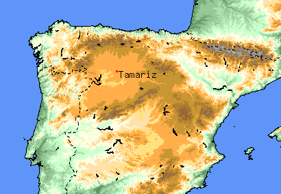 Tamariz location in Spain